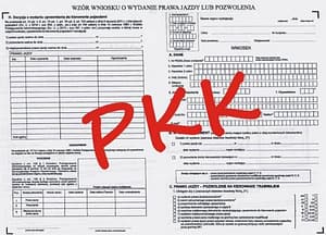 PKK on-line